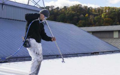Roof Moss and 10 Best Ways to Prevent It
