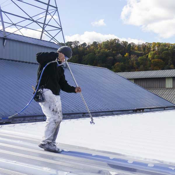 Roof Moss and 10 Best Ways to Prevent It