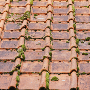 An old clay tile roof covered in moss, demonstrating the impact of environmental exposure and maintenance on a roof’s longevity.