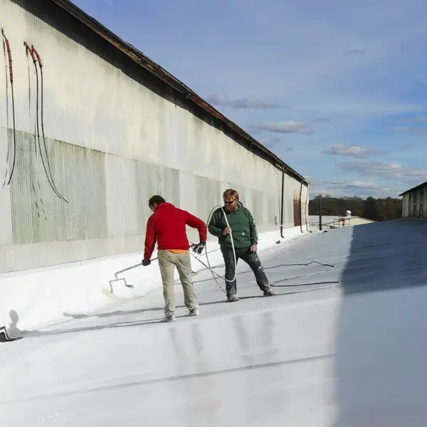 Inspecting for roof leaks and sealing with Conklin